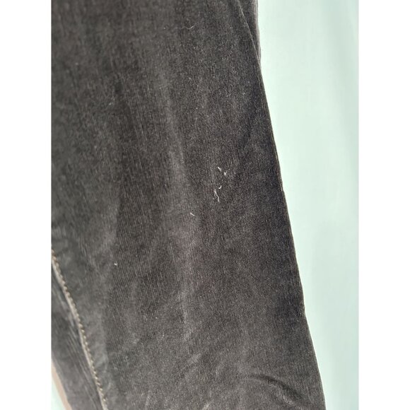 Corduroy Pilcro & The Letterpress Womens Pants Fit Serif No 31 Brown - Picture 9 of 16